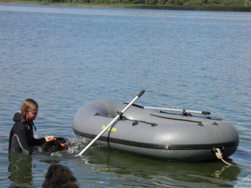 Фотография № 237952