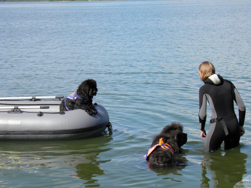 Фотография № 237953