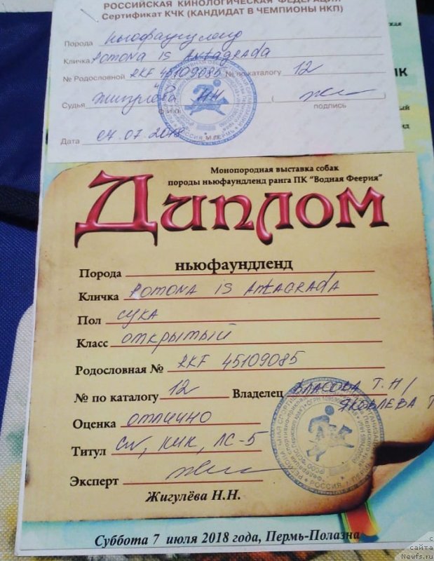 Фотография № 237965