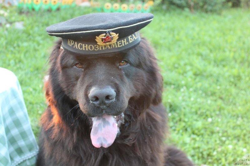 Фотография № 237967