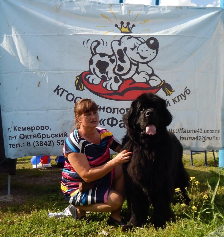 Фотография № 237972