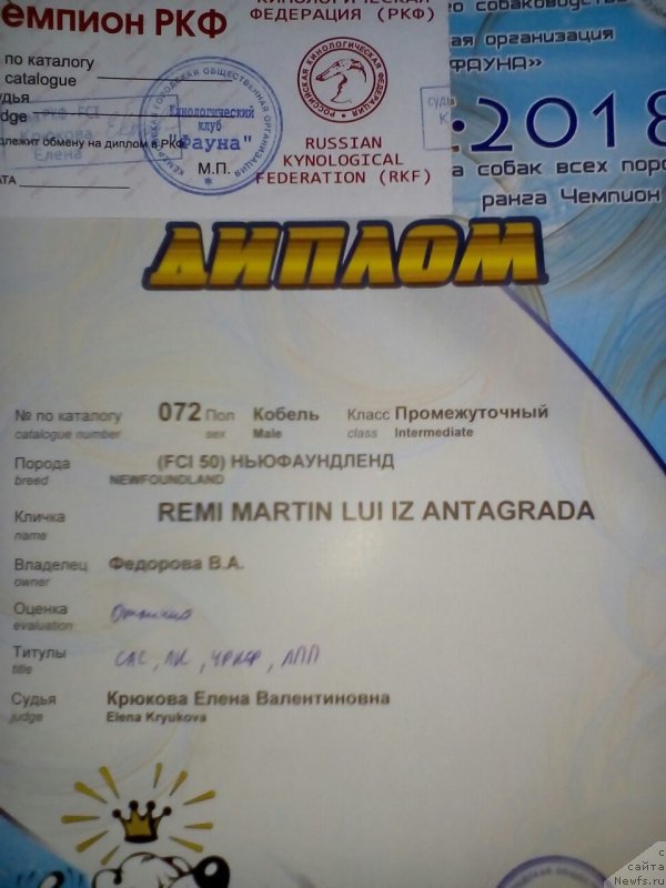 Фотография № 237973