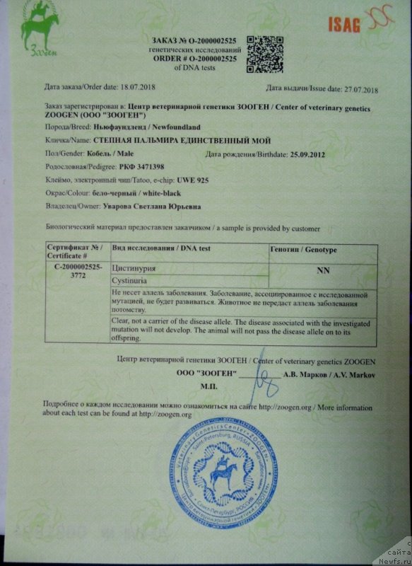 Фото: ньюфаундленд Степная Пальмира Единственный Мой