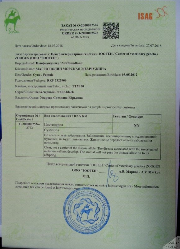 Фото: ньюфаундленд Маг Исполин Морская Жемчужина