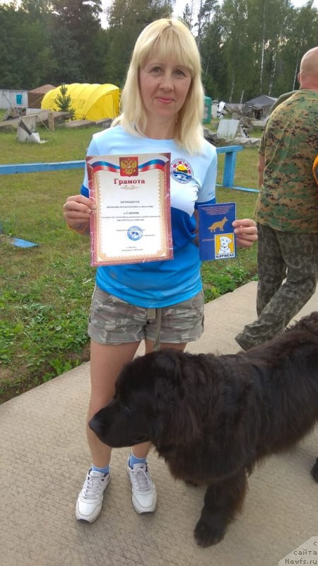 Фото: Наталья Афанасьева, ньюфаундленд My Frend Newfy' Abigail Miss Churchill