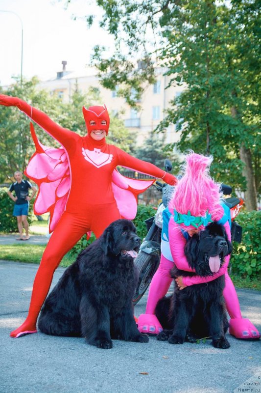 Фотография № 238031