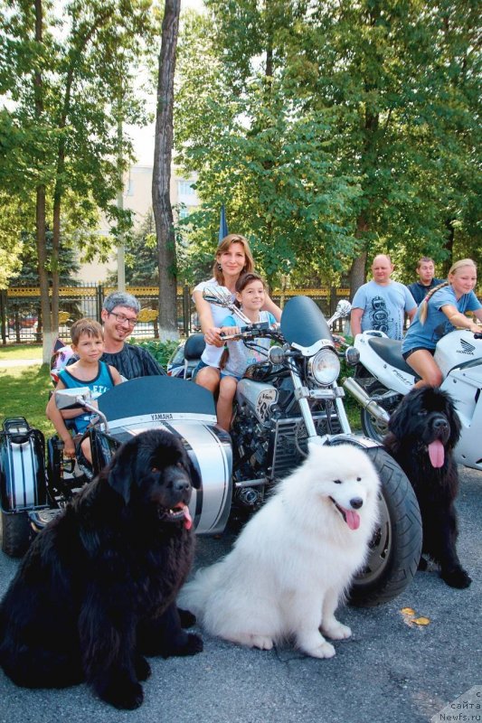 Фотография № 238033