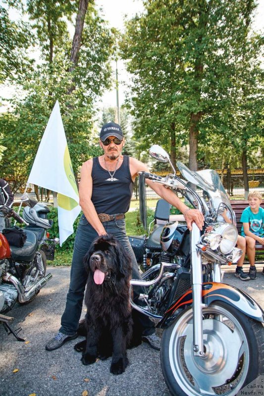 Фотография № 238034