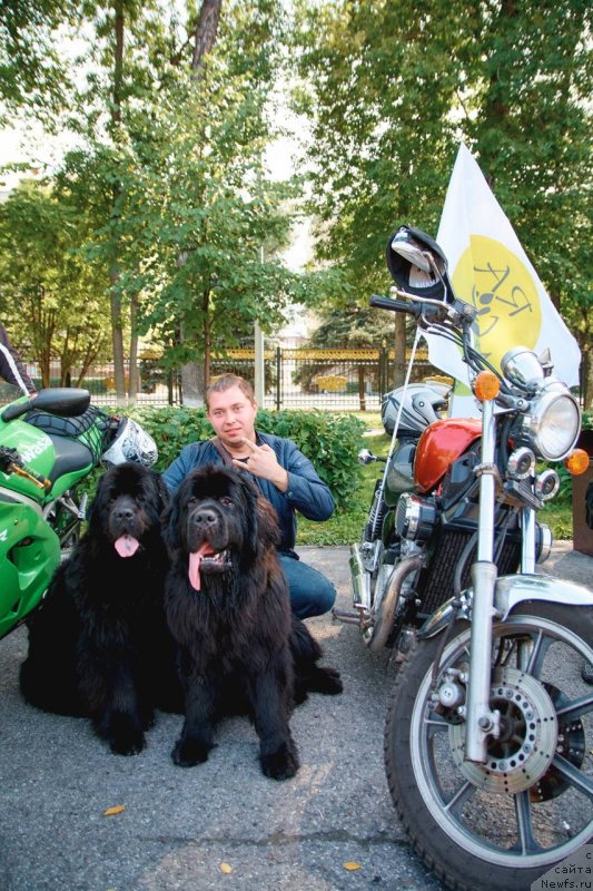 Фотография № 238035