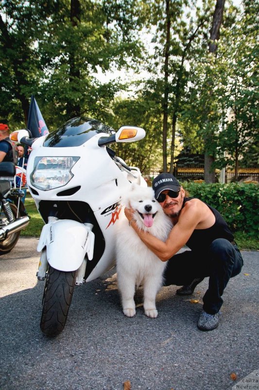 Фотография № 238036