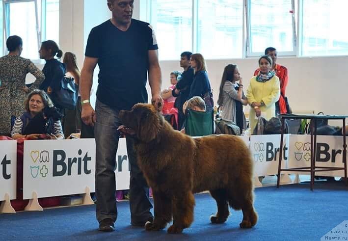 Фотография № 238037