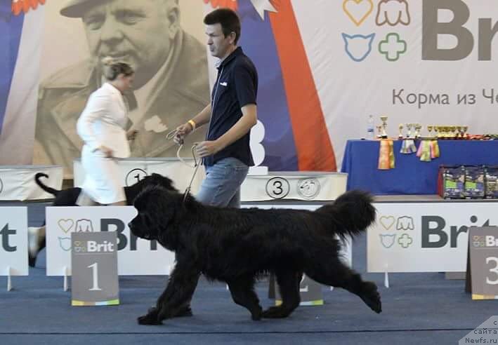 Фотография № 238038