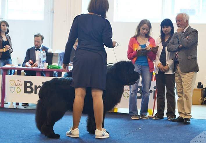 Фотография № 238040