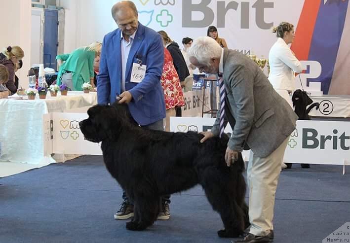 Фотография № 238042