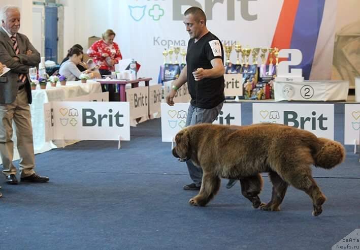 Фотография № 238045