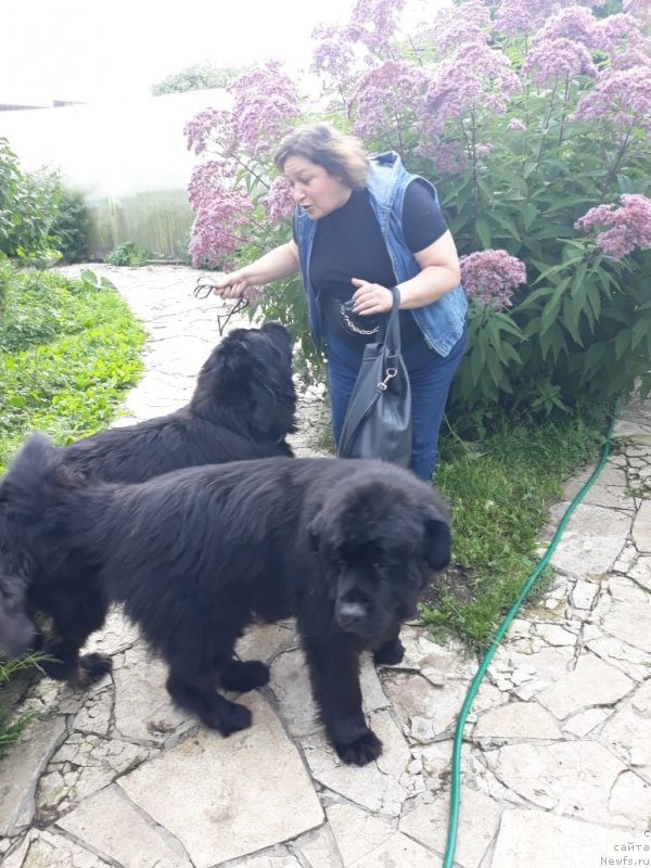 Фотография № 238047