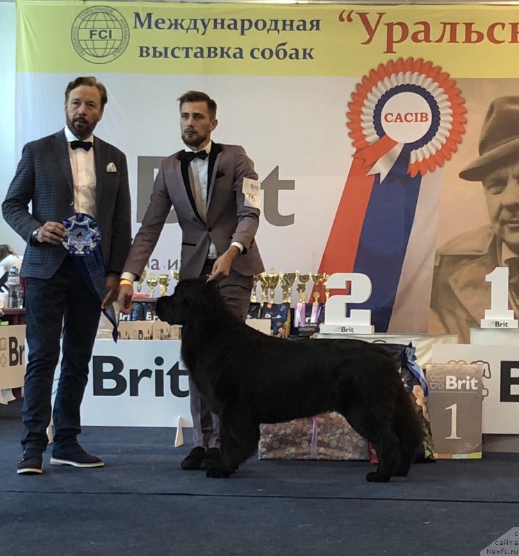 Фотография № 238057