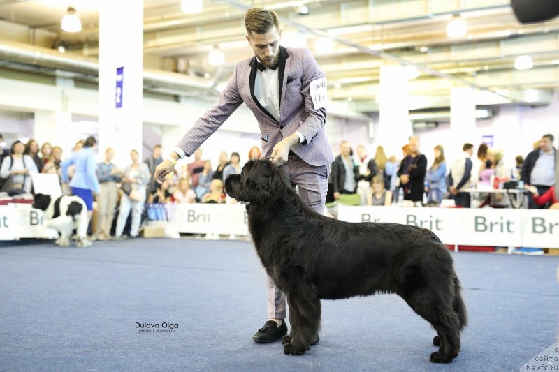 Фотография № 238058