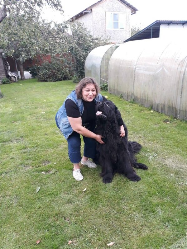 Фотография № 238062