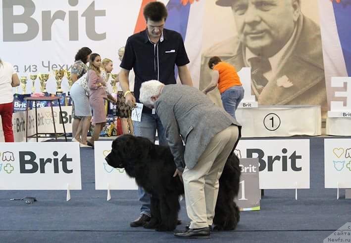 Фотография № 238063