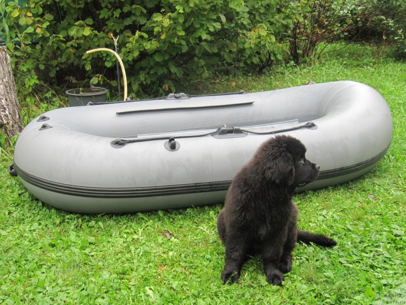 Фотография № 238073