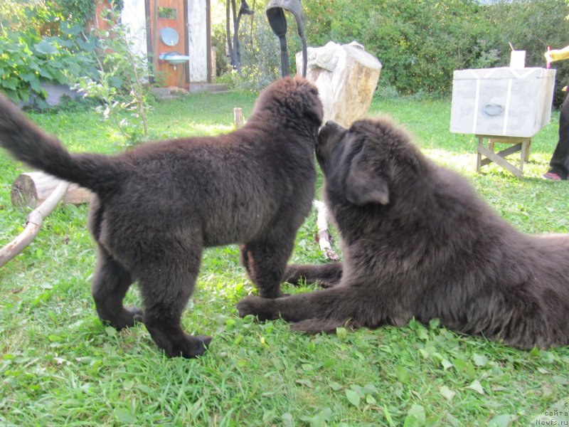 Фотография № 238083