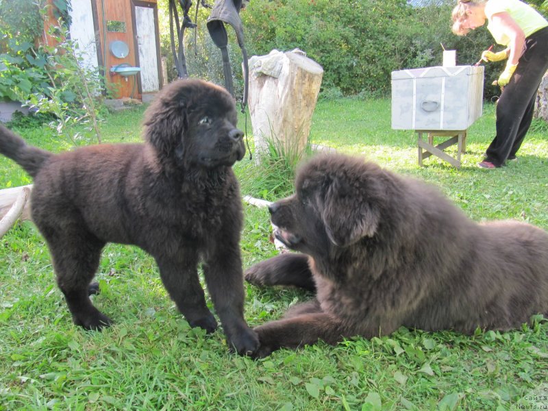 Фотография № 238084