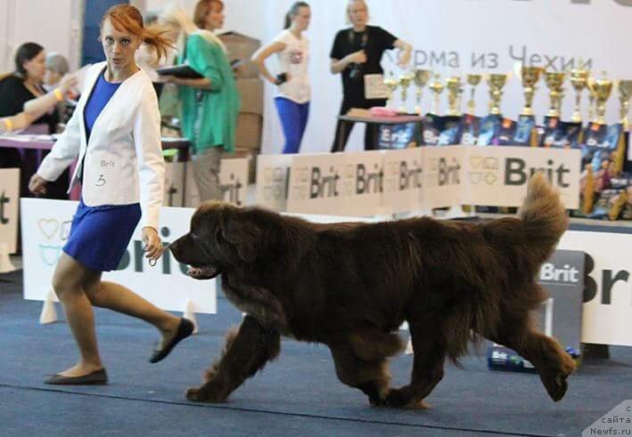 Фотография № 238126