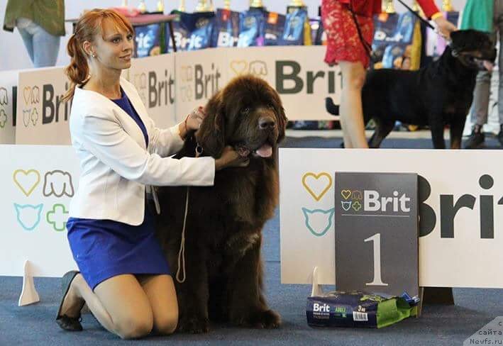 Фотография № 238128