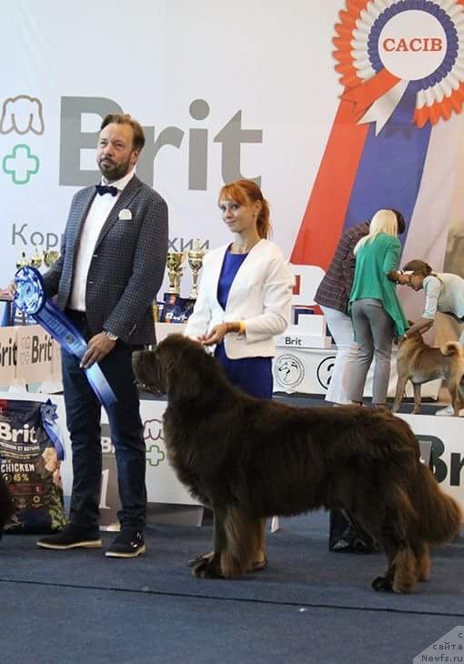 Фотография № 238129