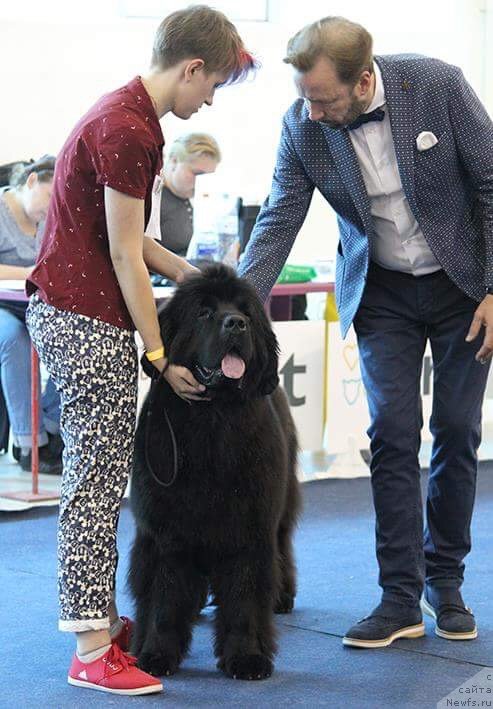 Фотография № 238131