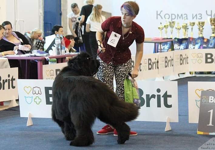 Фотография № 238134