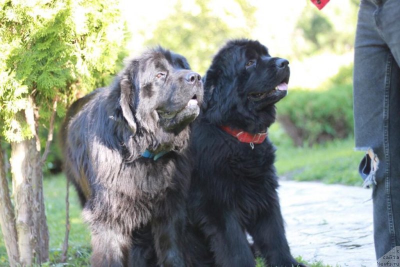 Фотография № 238136