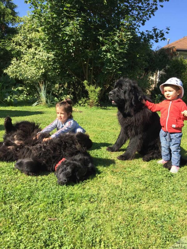 Фотография № 238137