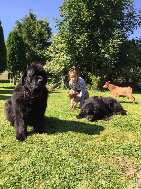 Фотография № 238138