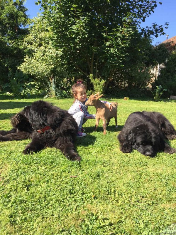 Фотография № 238139