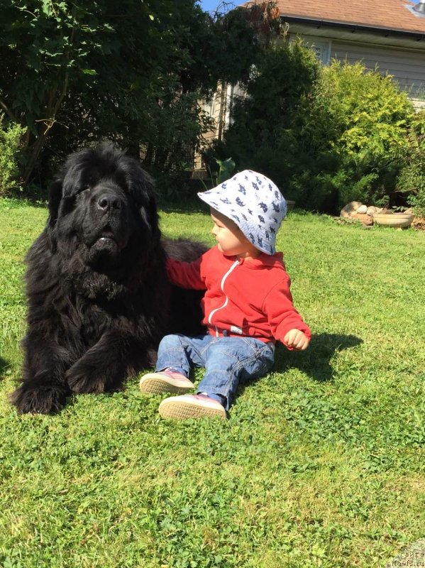 Фотография № 238140