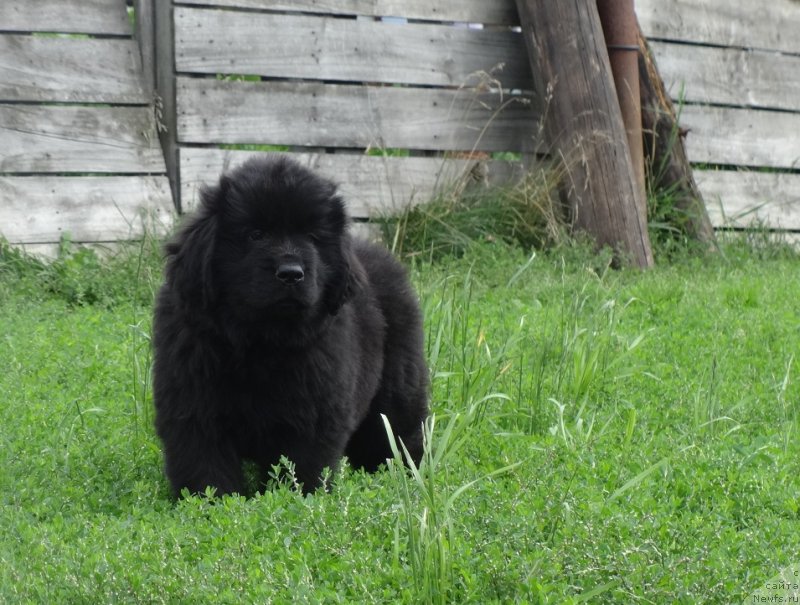 Фото: Ирина Панюшкина