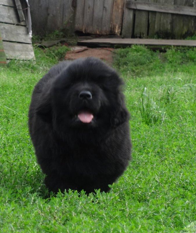 Фото: Ирина Панюшкина