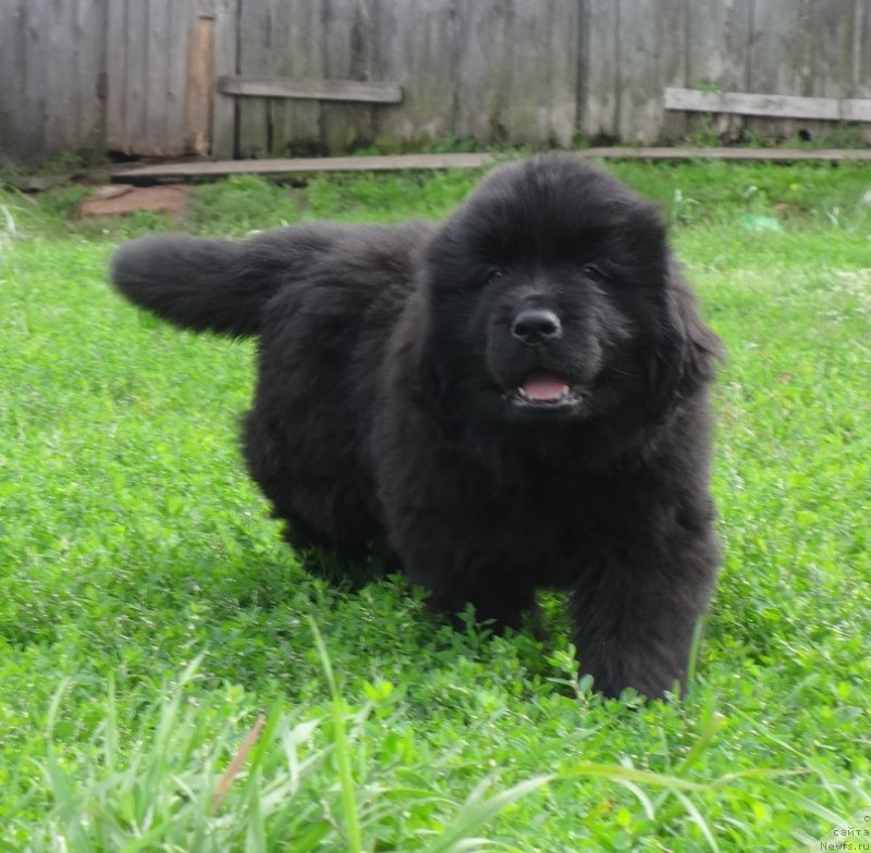 Фото: Ирина Панюшкина