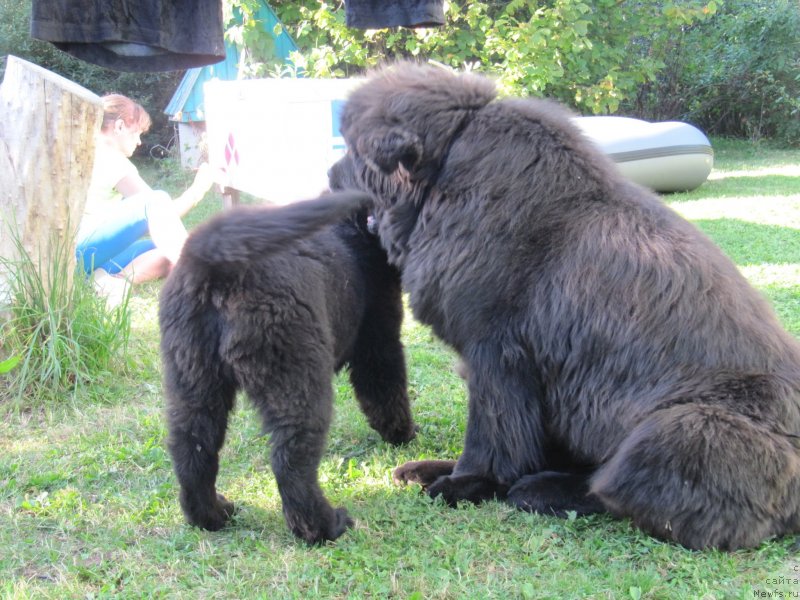 Фотография № 238199