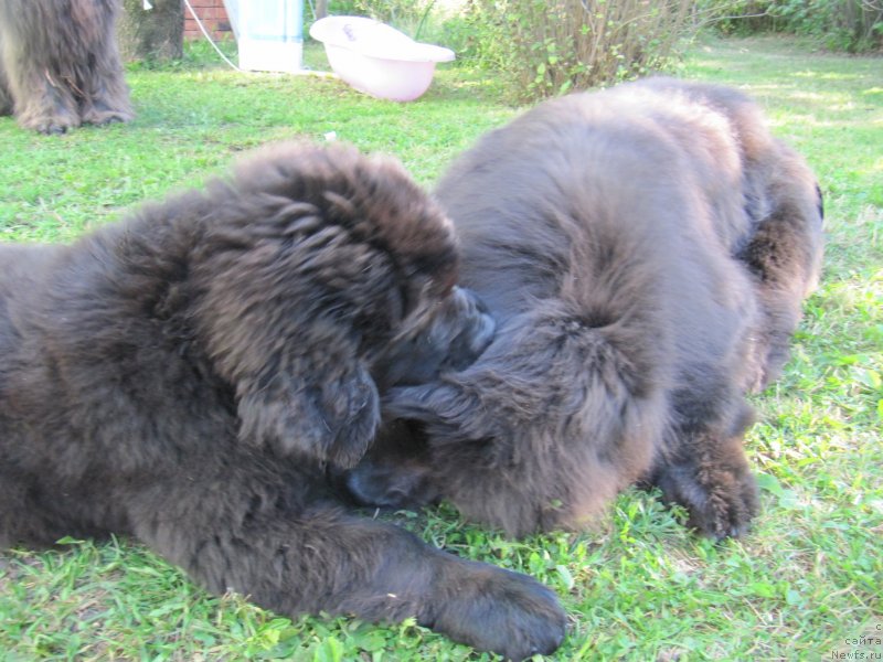 Фотография № 238200