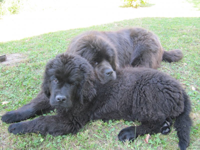 Фотография № 238201