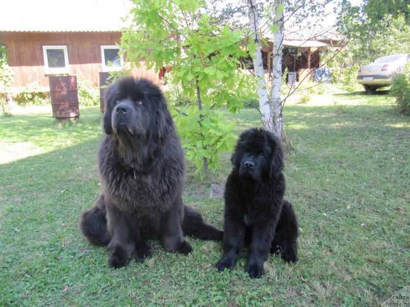 Фотография № 238202