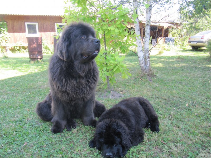 Фотография № 238203