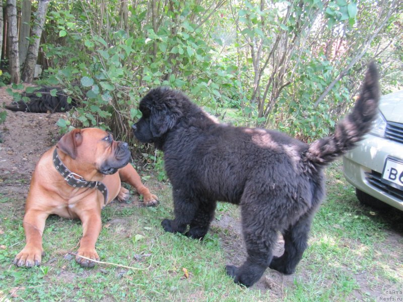 Фотография № 238210