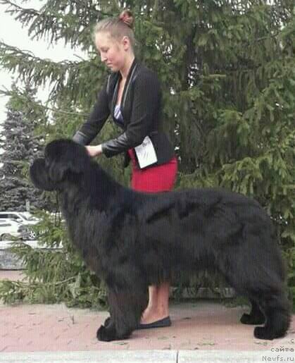 Фотография № 238216