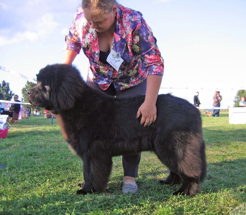 Фотография № 238219