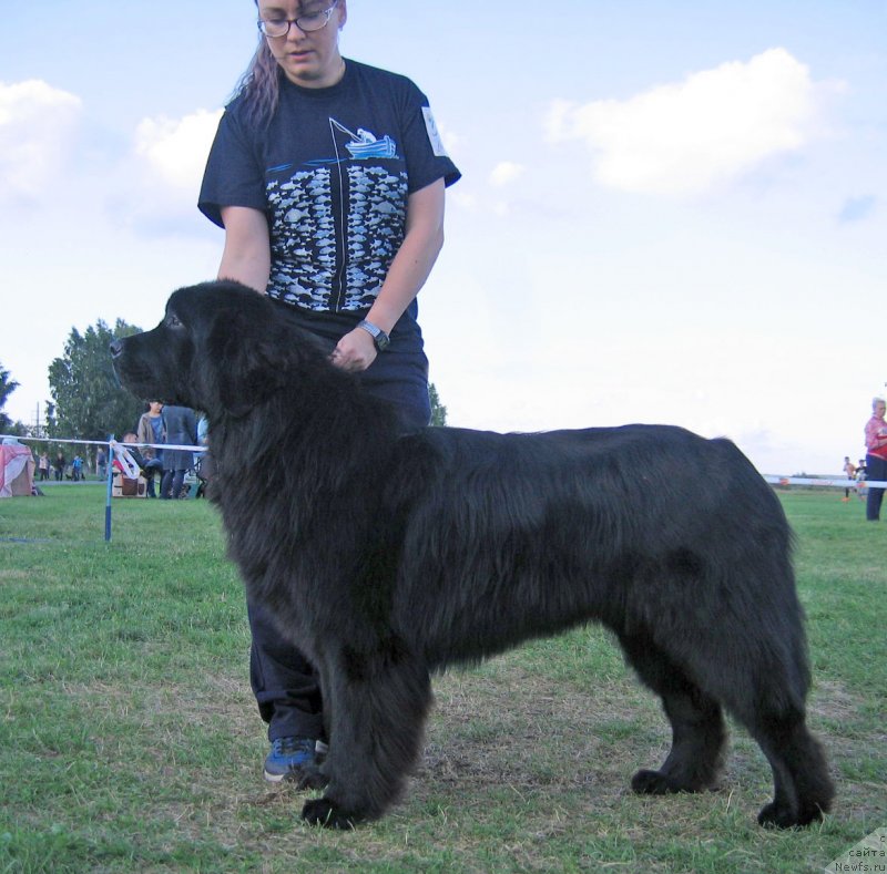 Фотография № 238221