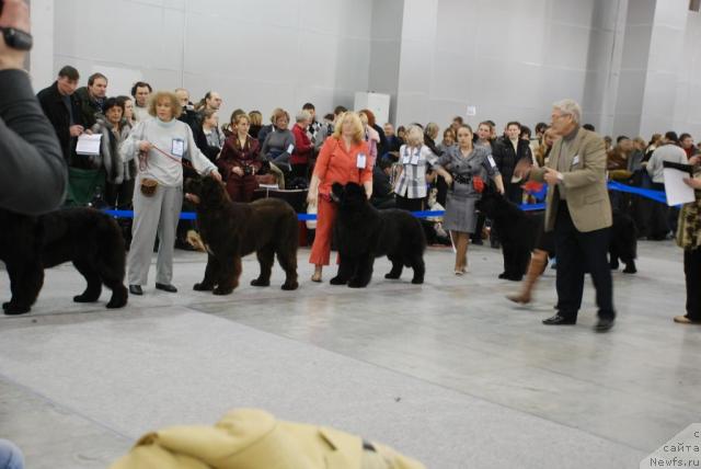 Фотография № 23825